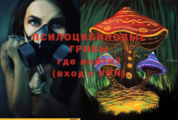 стаф Переславль-Залесский