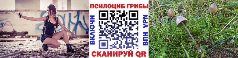 Псилоцибиновые грибы мухоморы  цены наркотик  Североморск 