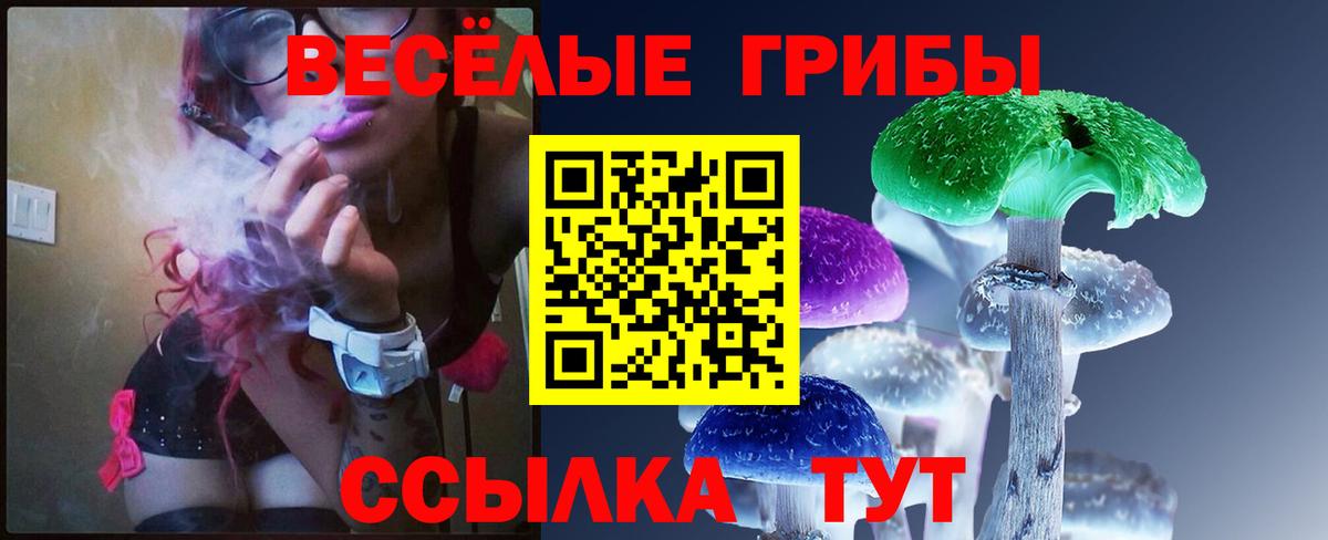 Галлюциногенные грибы Psilocybe Североморск
