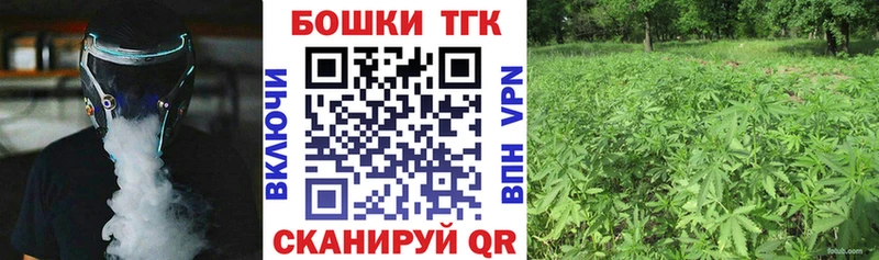 Шишки марихуана SATIVA & INDICA  где найти наркотики  Североморск 